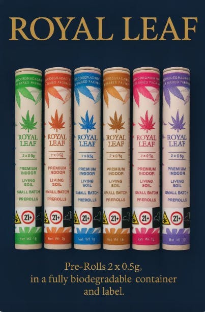 Royal Leaf - Royal Leaf | Cosmic Z | Minis | 0.5g each | 2pk - 1