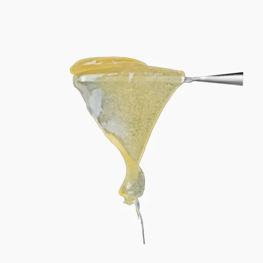 Lazercat - Lazercat | Papaya Potion | Ultrapremo Live Rosin | 1g - 1