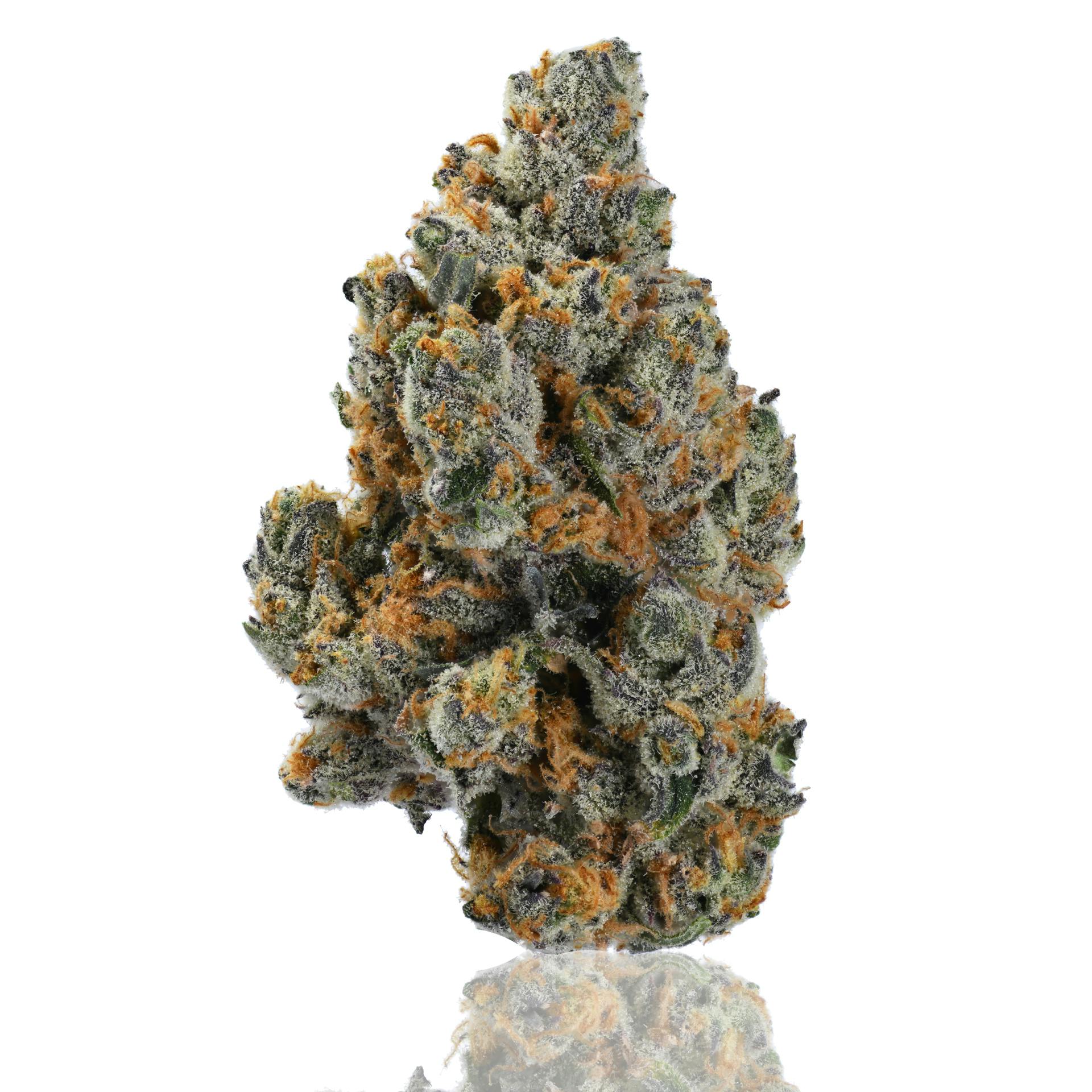CAM - CAM | Double Haze | Big Buds - 1