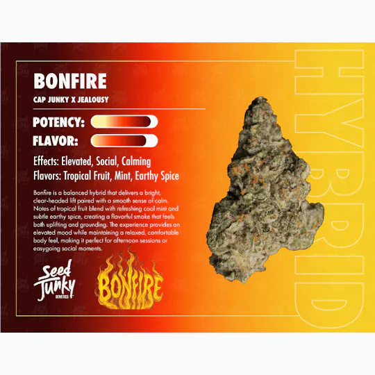 Seed Junky - Bonfire | Big Buds | 3.5g - 1