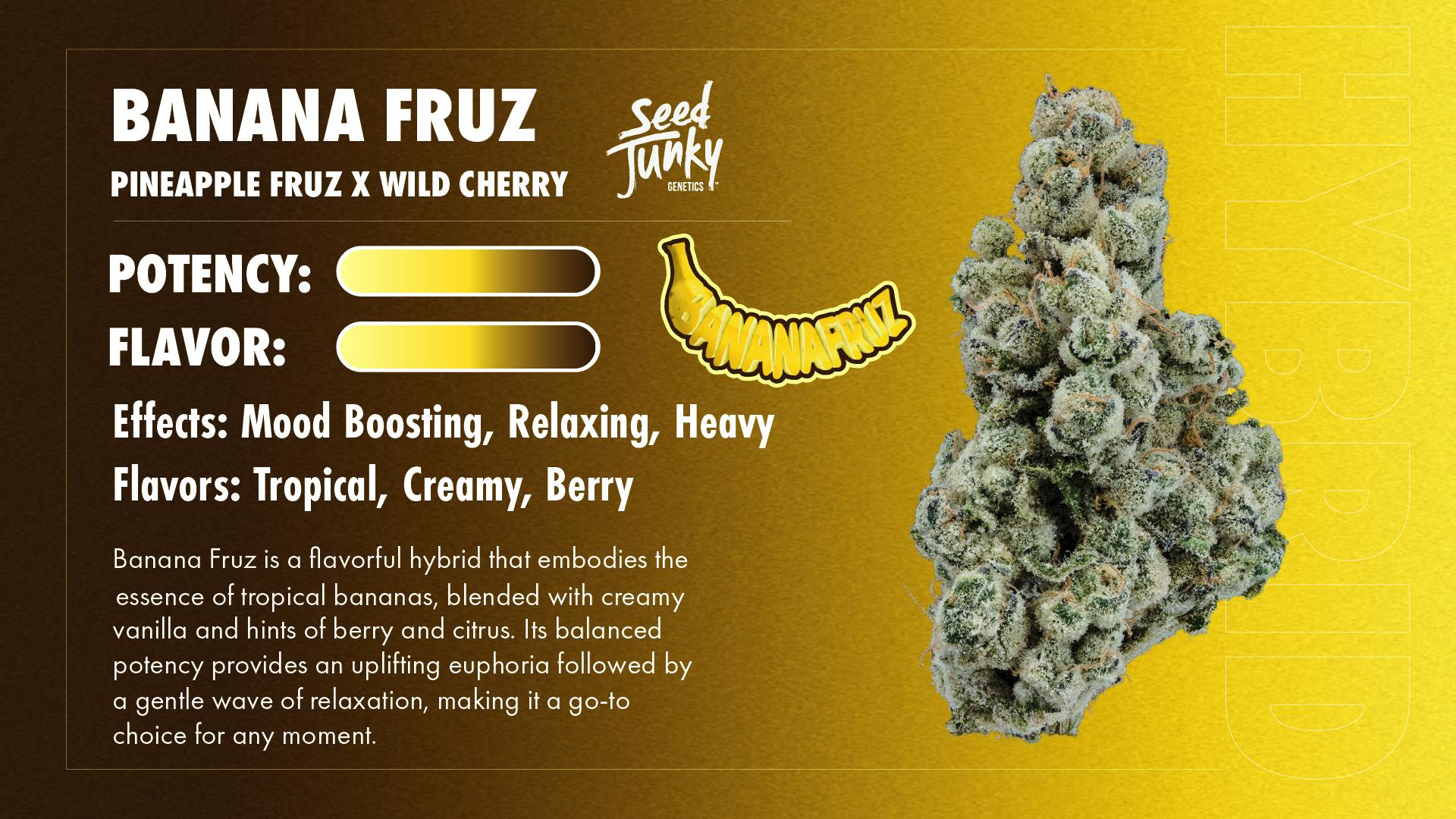 Seed Junky - Seed Junky | Banana Fruz | Big Buds | 3.5g - 1