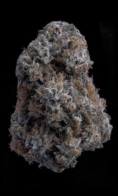 Sticky Status - Sticky Satus | Zallah Bread | Big Buds | 3.5g - 1