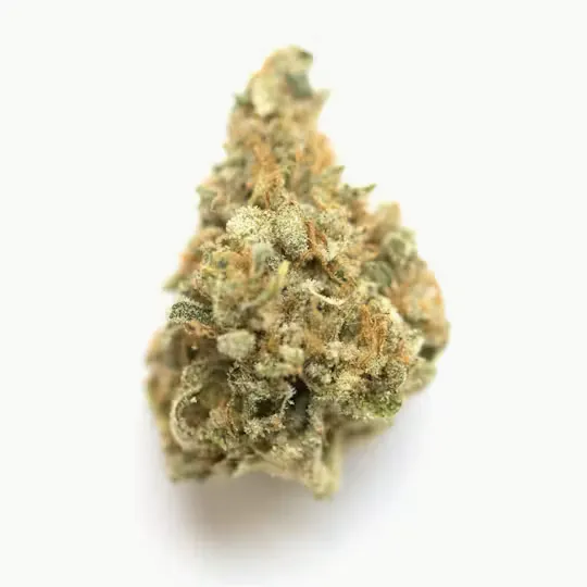 Sticky Status - Sticky Satus | Mandarin Delight | Big Buds | 3.5g - 1