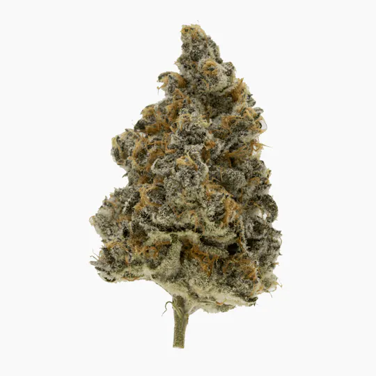 Sticky Status - Sticky Satus | Super Boof | Big Buds | 3.5g - 1