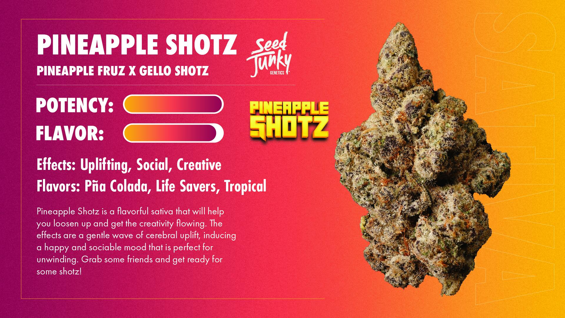 Seed Junky - Seed Junky | Pineapple Shotz | Joint | 1g - 1