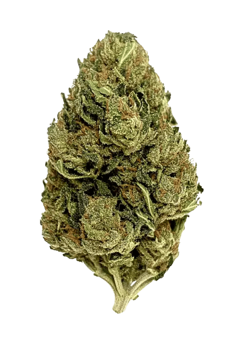 Sticky Status - Sticky Status | Queen Bee | Big Buds | 3.5g - 1
