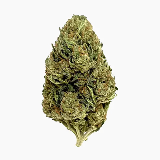 Sticky Status - Sticky Status | Queen Bee | Big Buds | 3.5g - 1