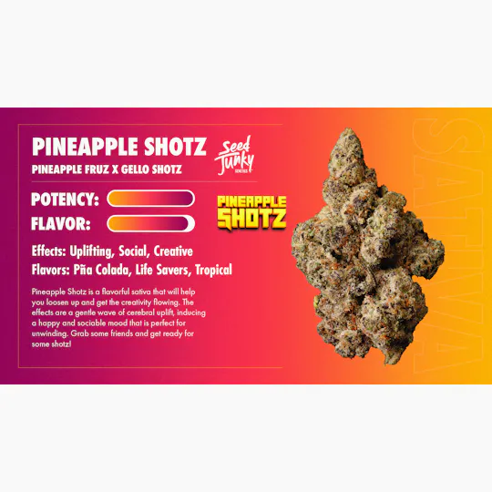 Seed Junky - Seed Junky | Pineapple Shotz | Smalls | 14g - 1