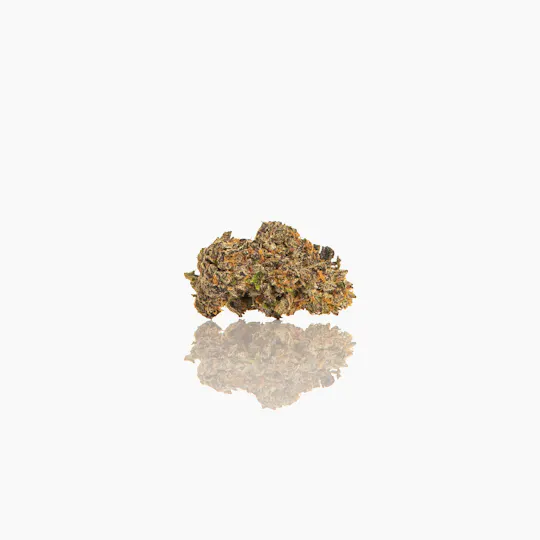 CAM - CAM | Dosi Kush | Big Buds | 1g - 1