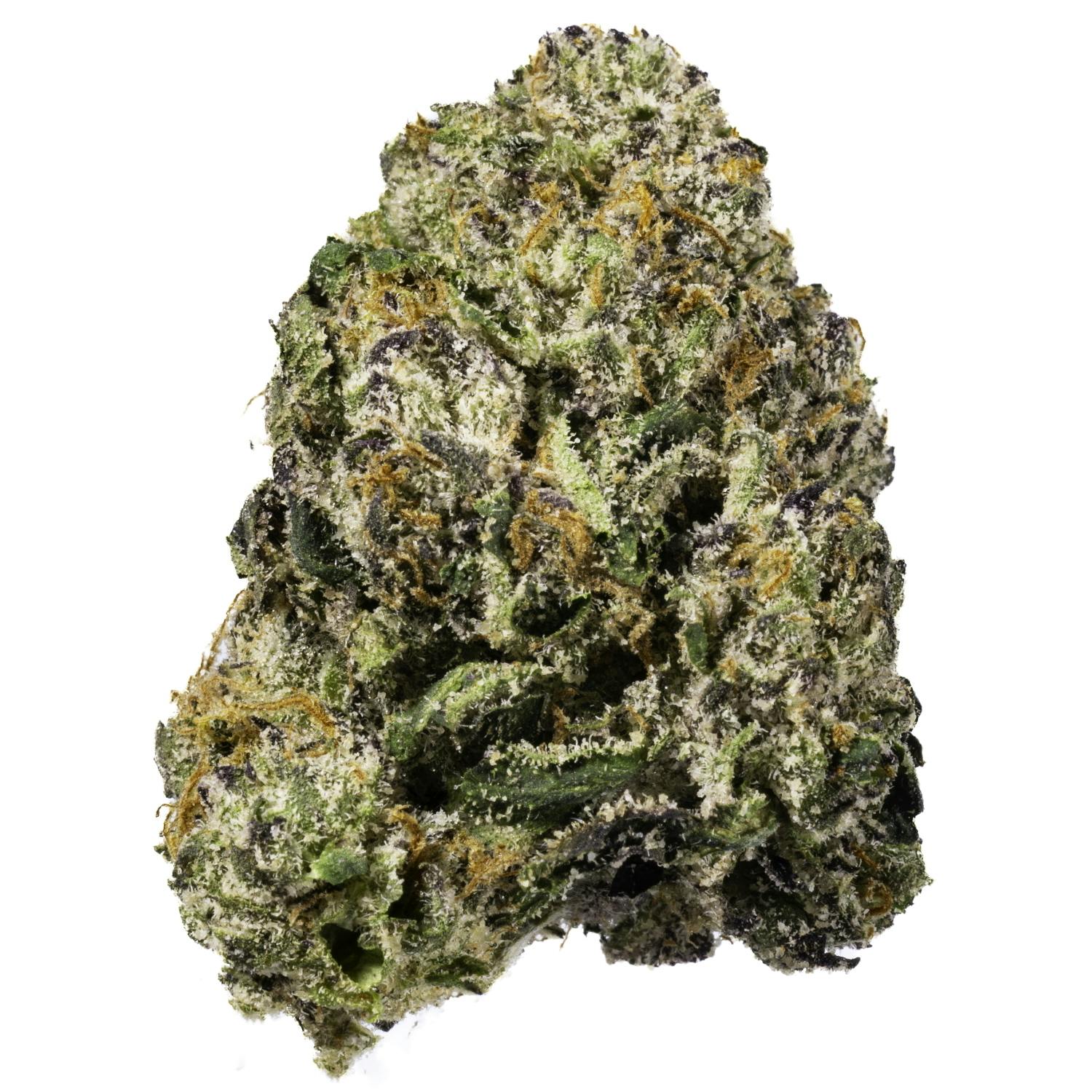 West Coast Cure - Dark Zero - 3.5G Top Shelf Indoor Flower - 1