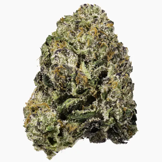 West Coast Cure - Dark Zero - 3.5G Top Shelf Indoor Flower - 1