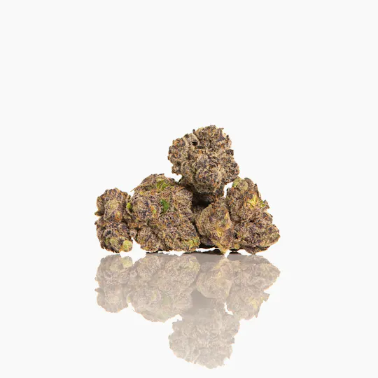 CAM - CAM | Runtz x Jealousy | Big Buds | 1g - 1