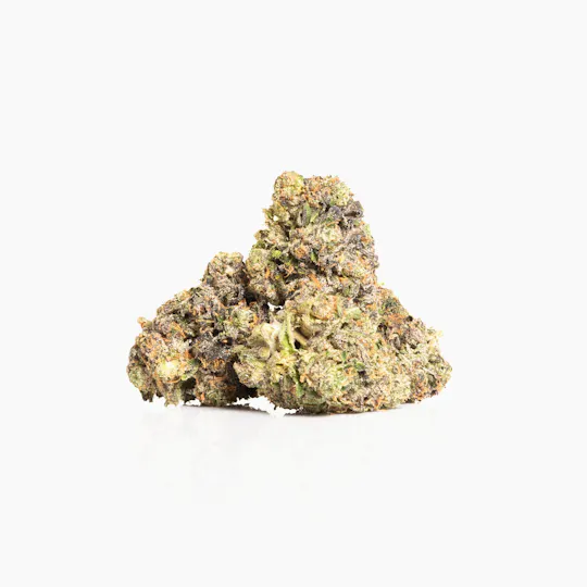 CAM - CAM | Bizzcotti | Big Buds | 1g - 1