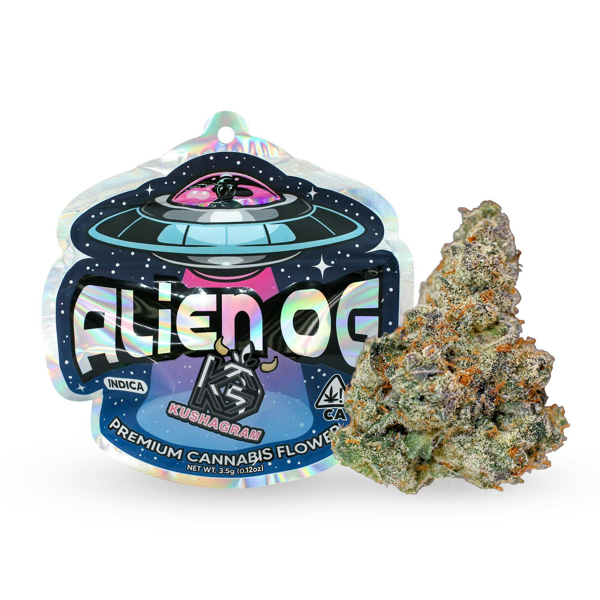 KUSHAGRAM - Kushagram | Alien OG | Big Buds | 3.5g - 1