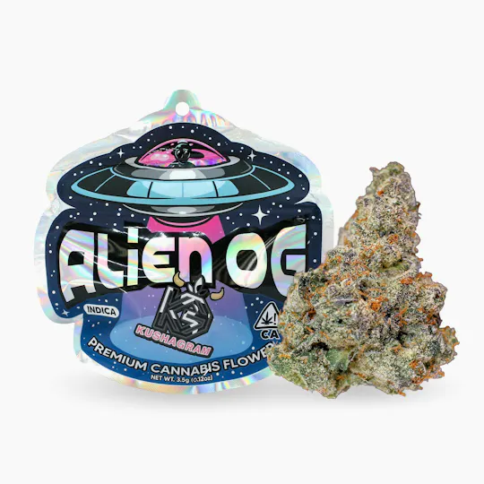 KUSHAGRAM - Kushagram | Alien OG | Big Buds | 3.5g - 1