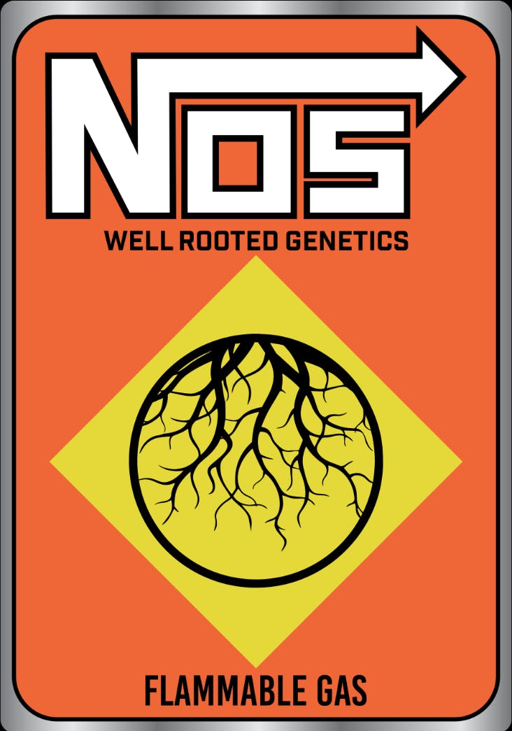 Well Rooted Genetics - Well Rooted Genetics | NOS | Bubble Hash Infused Joint | 1.25g - 1
