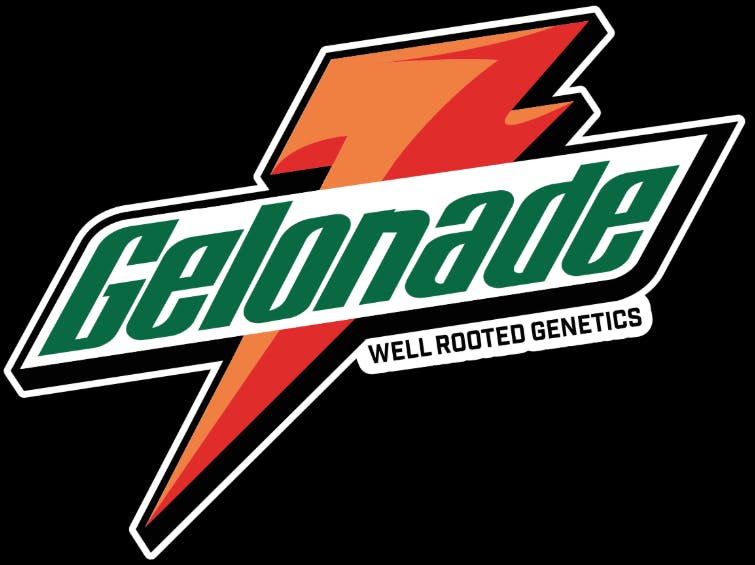 Well Rooted Genetics - Well Rooted Genetics | Gelonade | Bubble Hash Infused Joint | 1.25g - 1