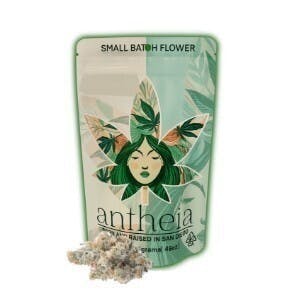 Antheia - Antheia | Hodad's | Flower | 7g - 1