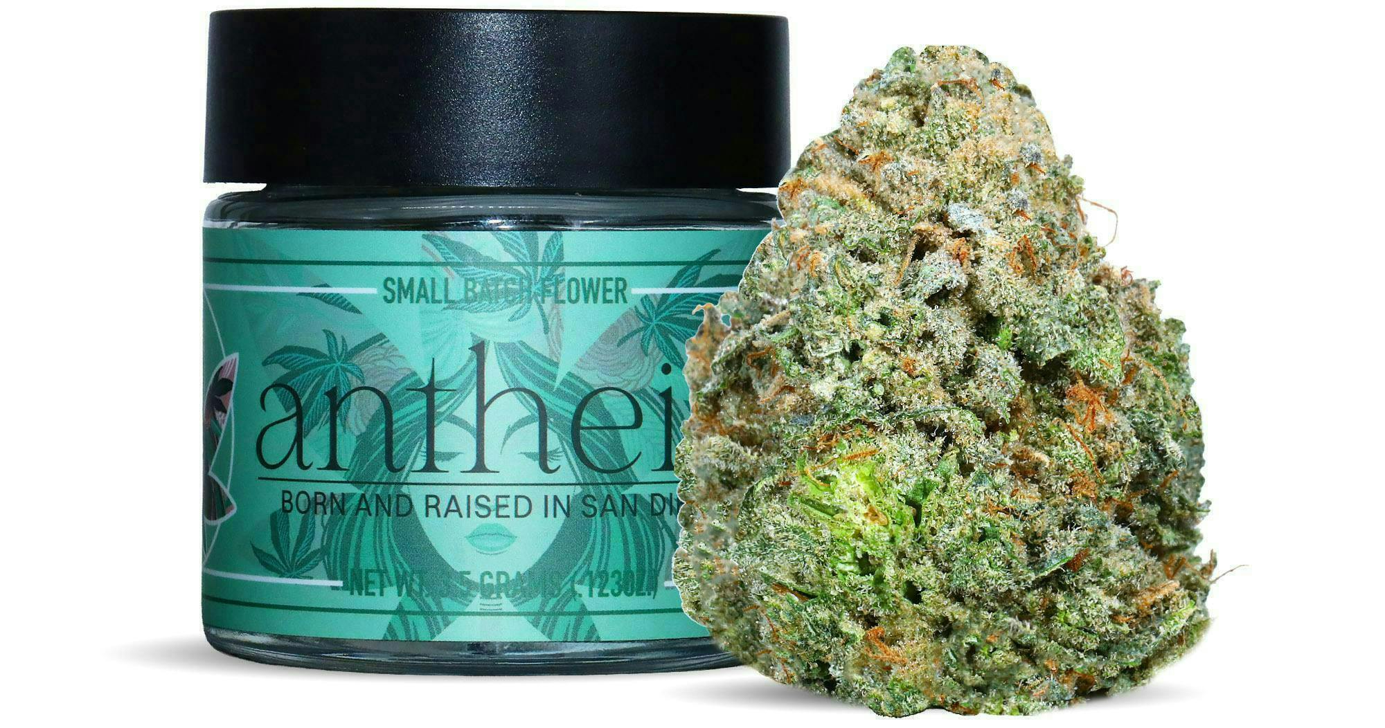 Antheia - Antheia | The Black | Flower | 3.5g - 1