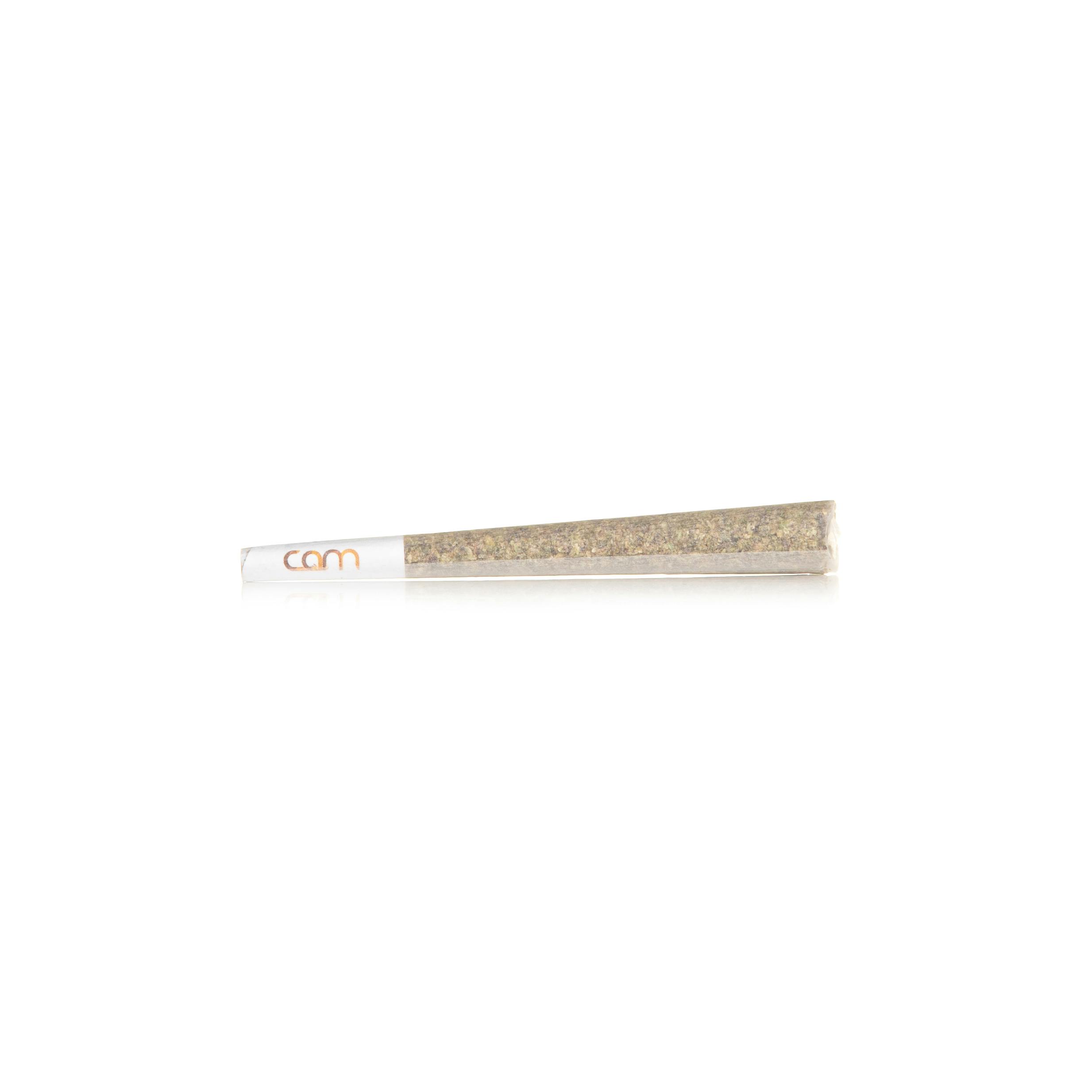 CAM - CAM | Lemon Cherry Gelato | Joint | 1g - 1