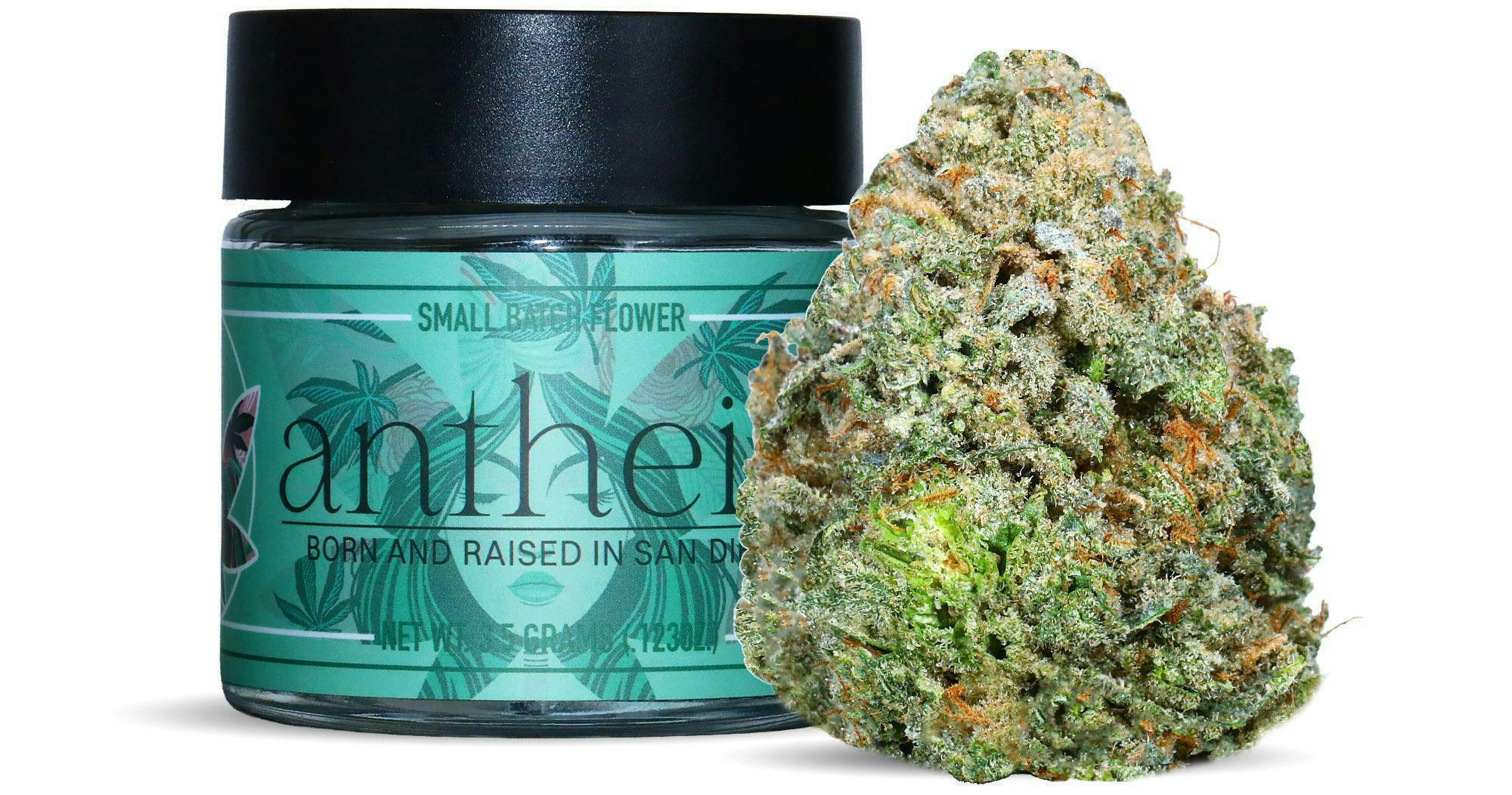 Antheia - Antheia | Chair 9 Summit | Big Buds | 3.5g - 1