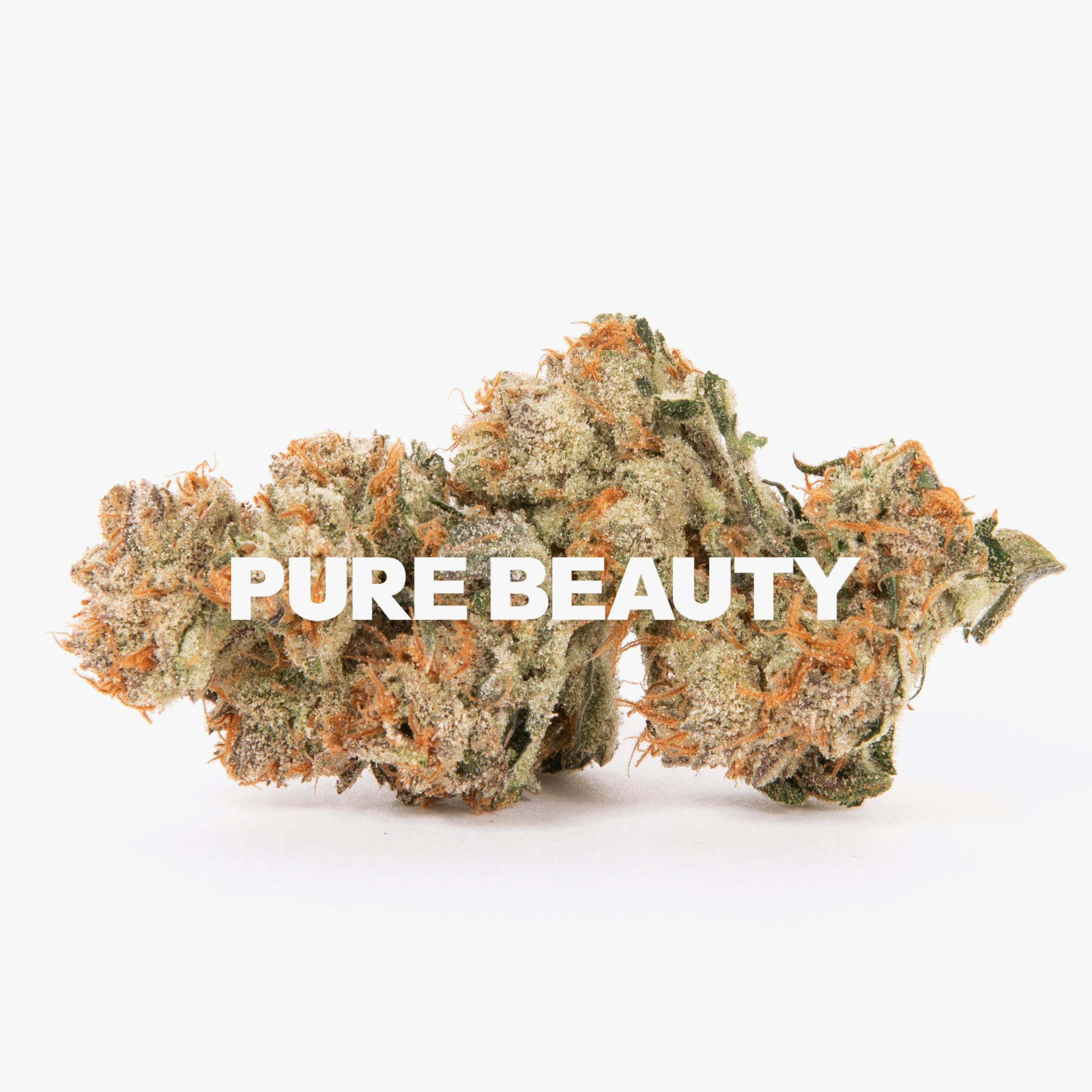 Pure Beauty - Honey Runtz | 14.17g Indoor - 1