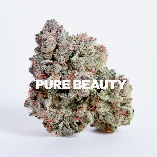 Pure Beauty - Zowah | 14.17g Indoor - 1