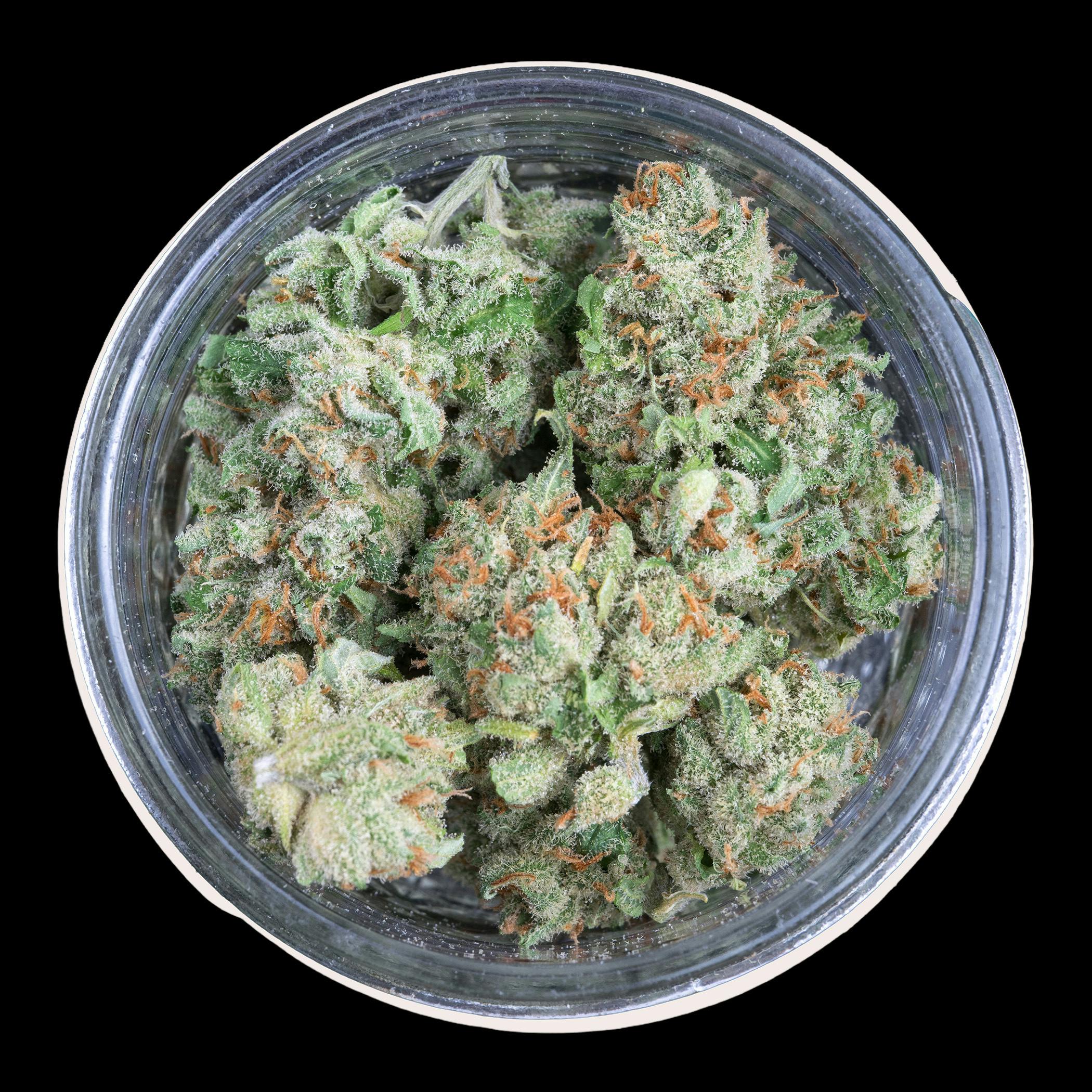 Indico - Jack Herer - FRAKTAL Cannabis - 1