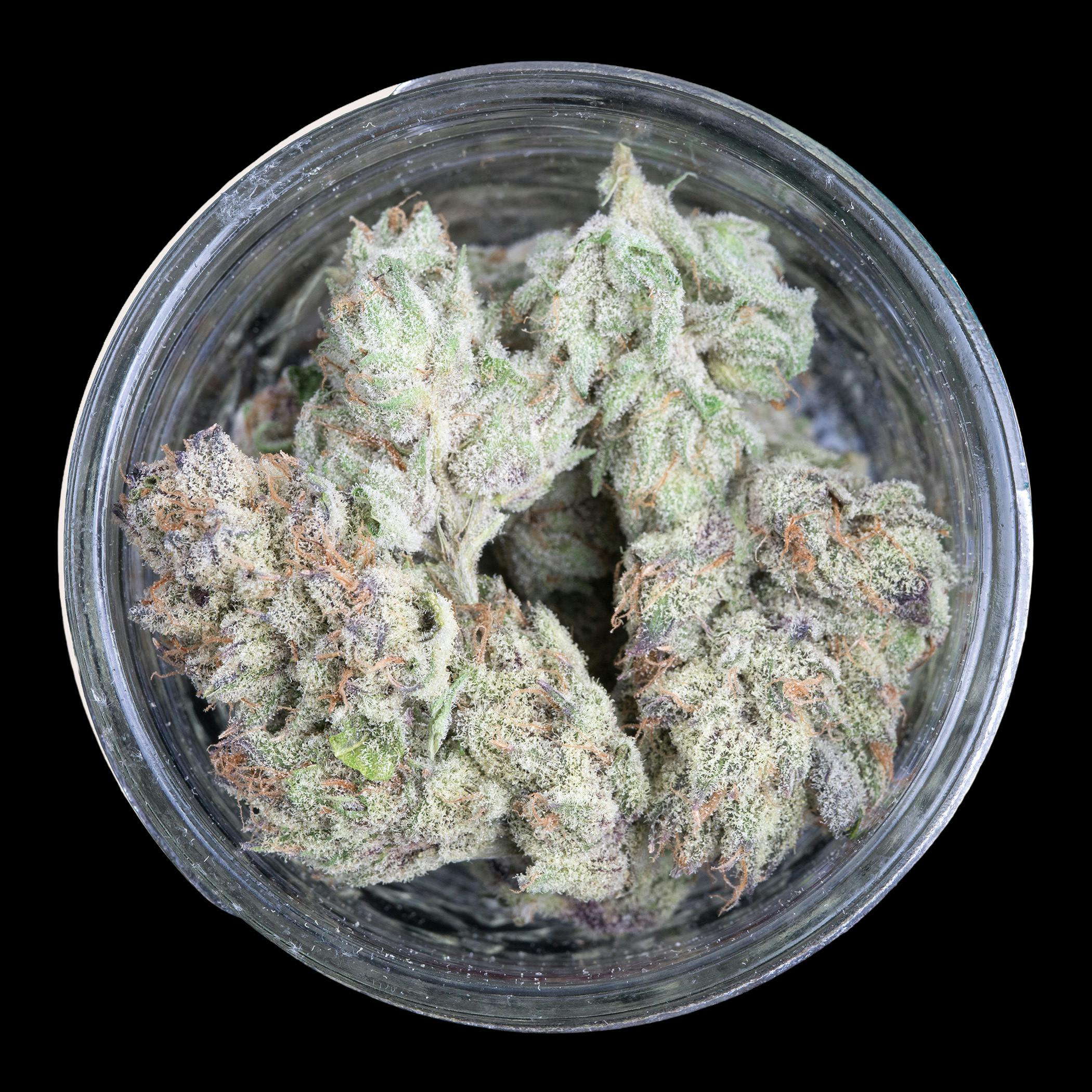 Indico - Bolinas - FRAKTAL Cannabis - 1