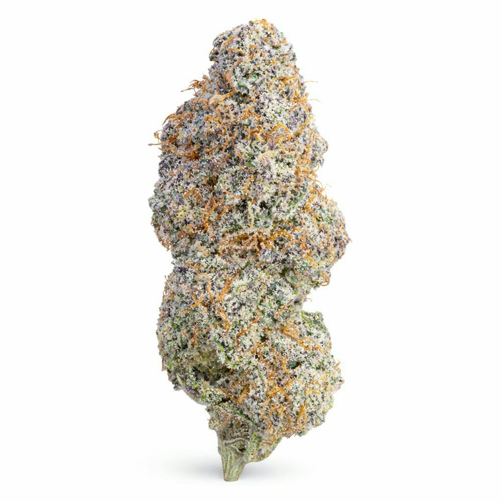 The Memo - The Memo | Durban Magic | Big Buds | 28g - 1