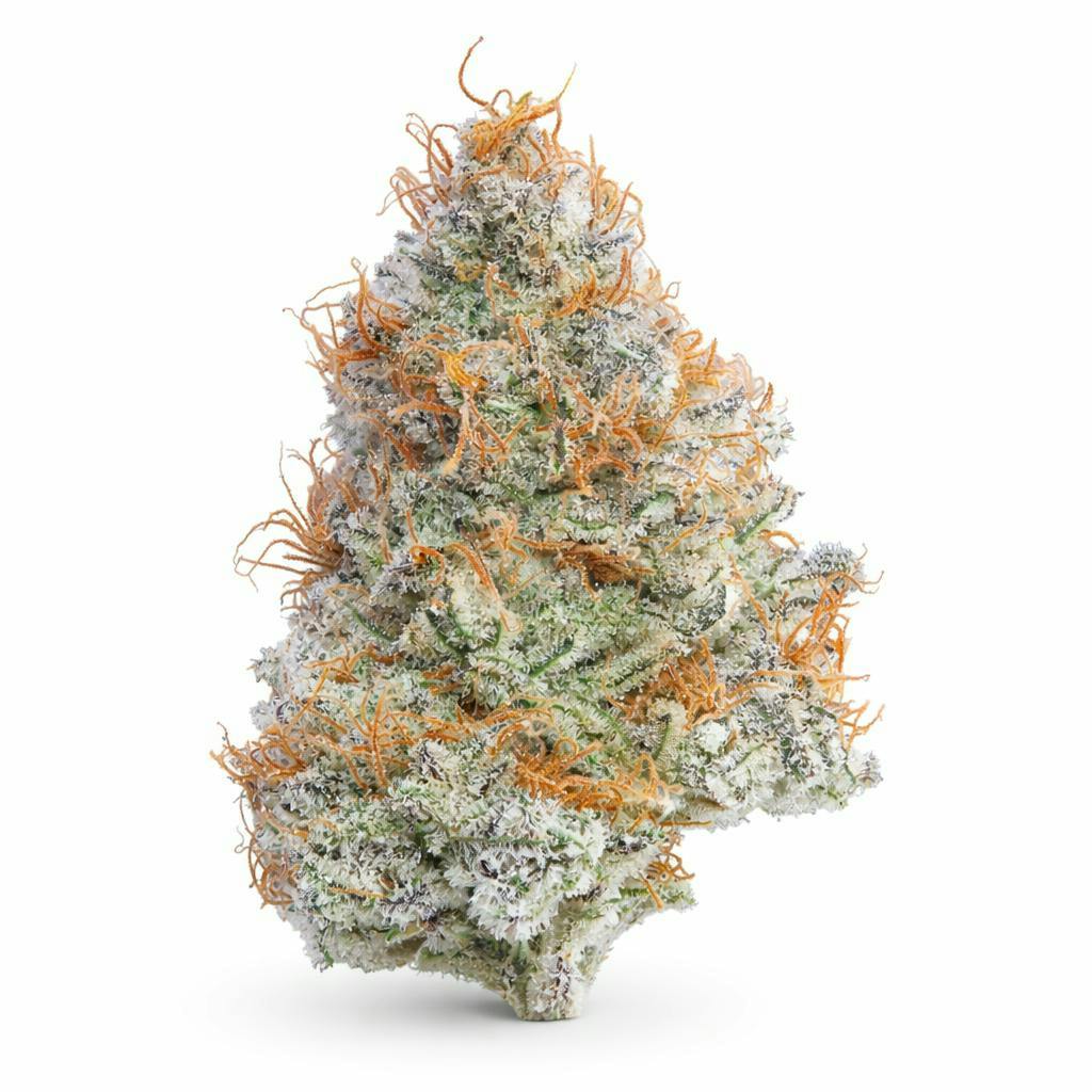The Memo - The Memo | Cinderella 99 | Big Buds | 7g - 1