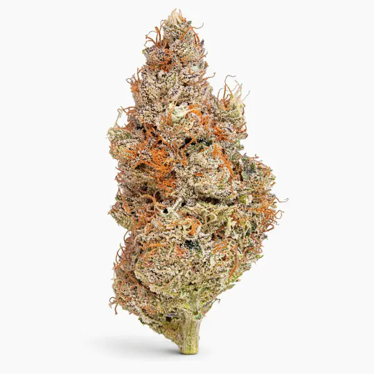 The Memo - The Memo | Strawberry Cookies OG | Big Buds | 7g - 1