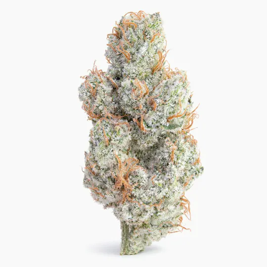 The Memo - The Memo | Chemdog Millionaire | Big Buds | 28g - 1