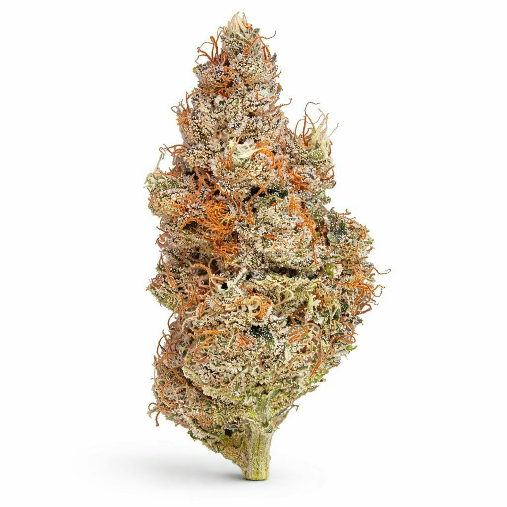 The Memo - The Memo | White Wedding | Big Buds | 3.5g - 1