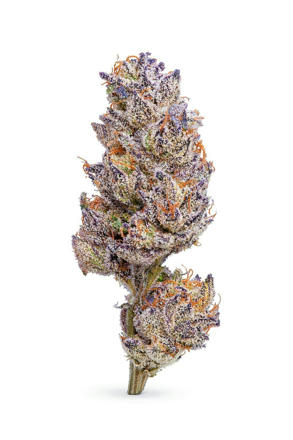 The Memo - The Memo | Mandarin Sunset | Big Buds | 28g - 1