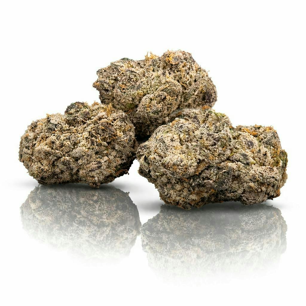 The Memo - The Memo | Black Congolese | Smalls | 28g - 1