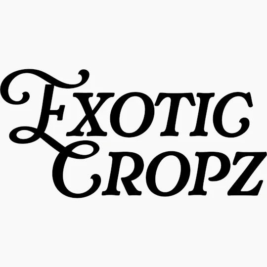Exotic Cropz - Exotic Cropz | Ice Cream Cake Bx2 | Big Buds | 14g - 1