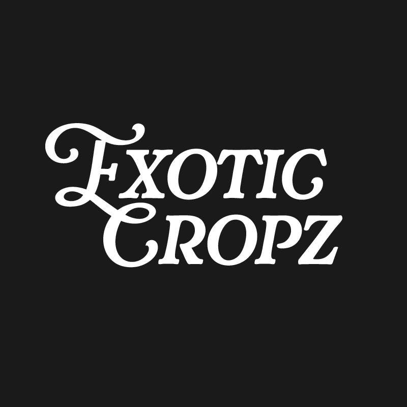 Exotic Cropz - Exotic Cropz | Orangatang Titties | Big Buds | 7g - 1