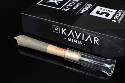 Kaviar MS - Forbidden Love x Runtz Starter | Infused Joints | 0.6g each | 5pk - 1