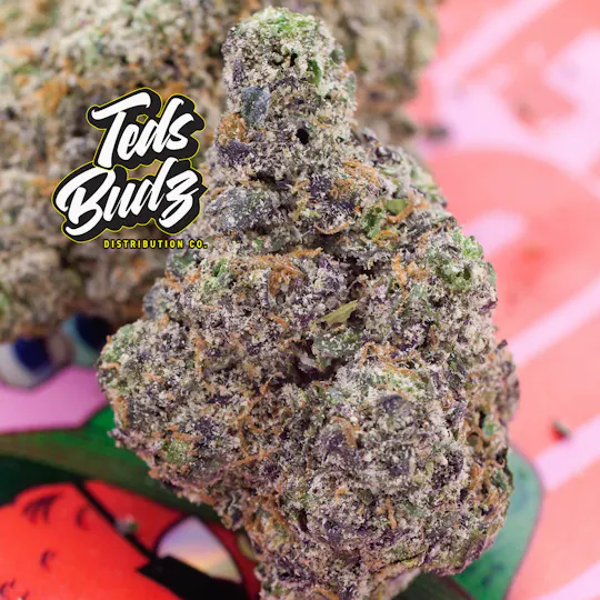 TEDS BUDZ - Teds Budz | Revenge of the Squid | 3.5g - 1