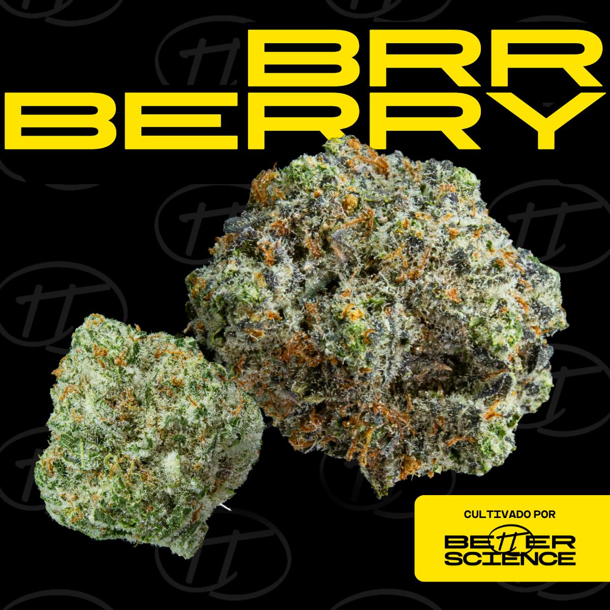 Better Science - BSC - Brr Berry - Flor - 1