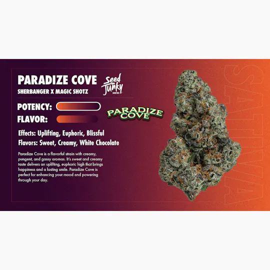 Seed Junky - Seed Junky | Pebble Beach | Joint | 1g - 1
