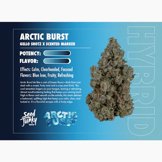 Seed Junky - Seed Junky | Arctic Burst | Infused Joints | 0.6g each | 5pk - 1