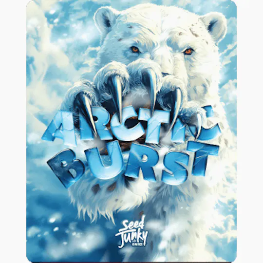 Seed Junky - Arctic Burst | Infused Joints | 2g - 1