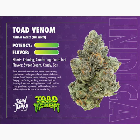 Seed Junky - Toad Venom | Smalls | 14g - 1