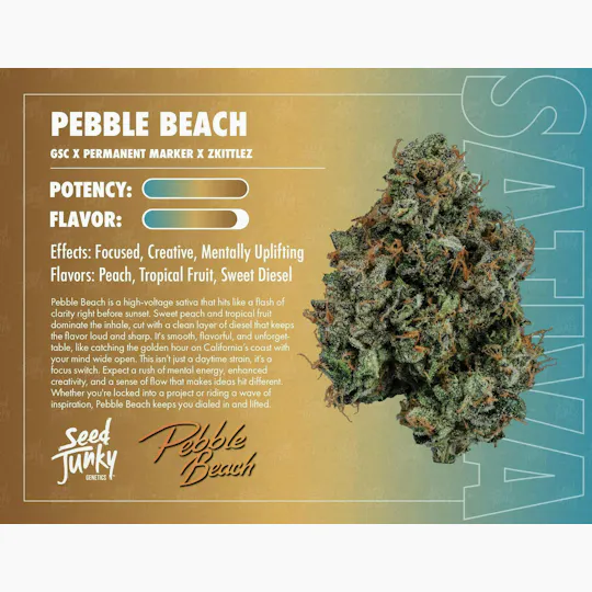 Seed Junky - Seed Junky | Pebble Beach | Smalls | 14g - 1