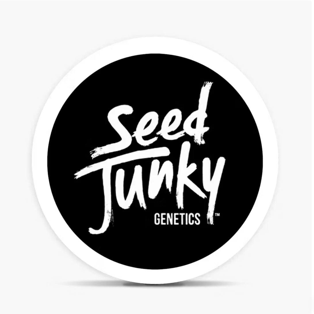 Seed Junky - Seed Junky | Permanent Cherries | Flower - 1