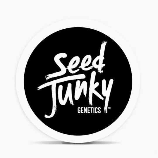 Seed Junky - Seed Junky | Permanent Cherries | Flower - 1