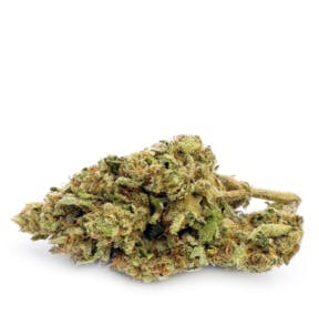 Most Wanted - Forbidden Funk via Paradise Pine | Big Buds | 14g - 1