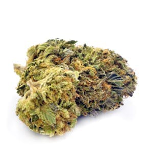 Most Wanted - Biscotti Lantern | Big Buds | 14g - 1
